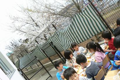 0329hanami1