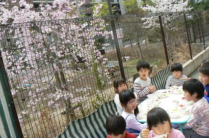 0329hanami3